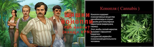 ПСИЛОЦИБИНОВЫЕ ГРИБЫ Бородино